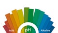Ph scale diagram, Ph scale vector graphic, Acid to base, pH scale Infographic acid-base balance Royalty Free Stock Photo